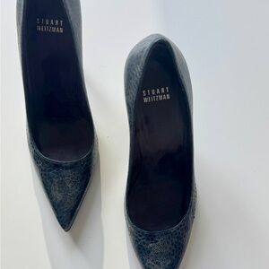 Stuart Weitzman Navy Heels with Pointed Toe and Stiletto Heel